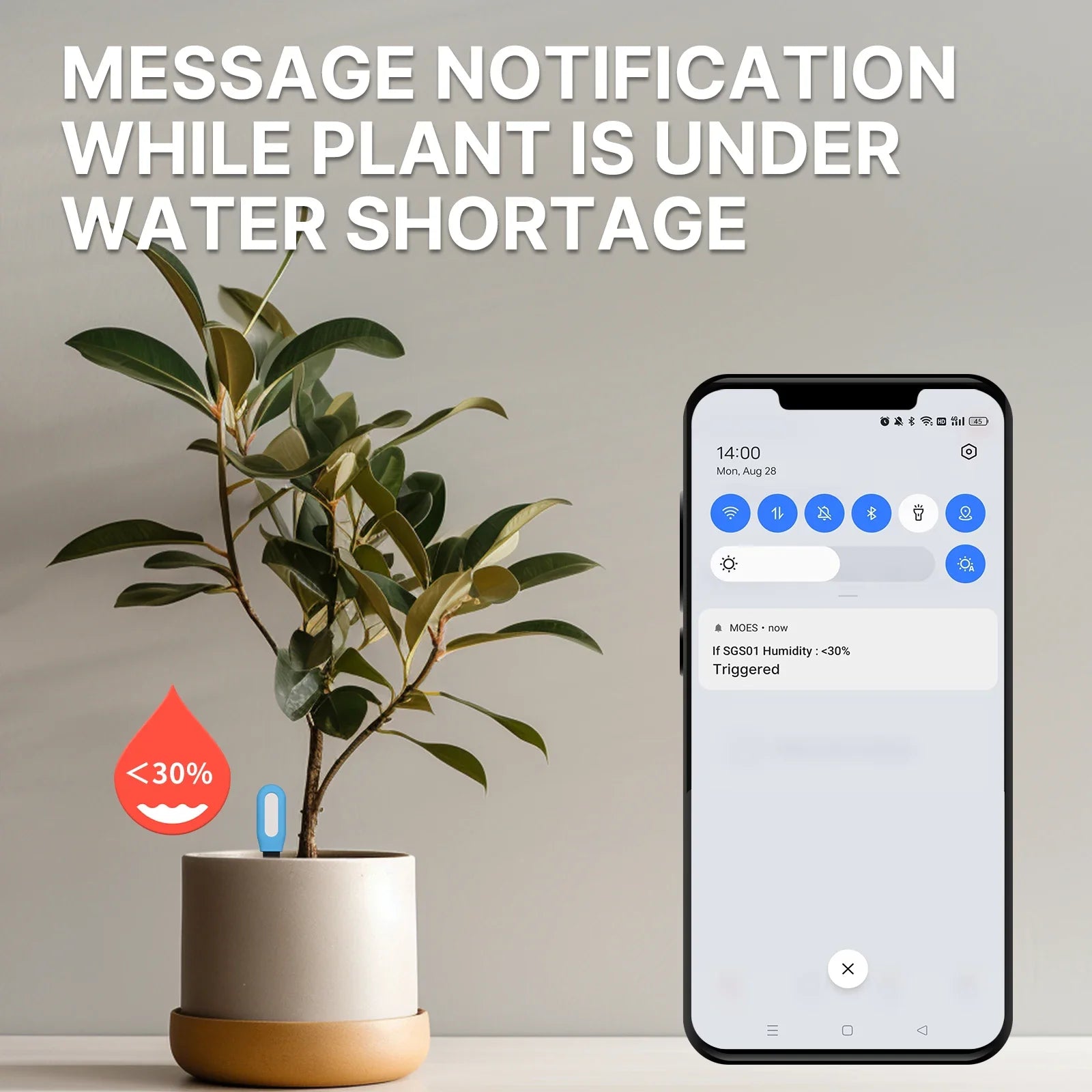 S58ce4a6f57184980ad394b275cb1ae38L